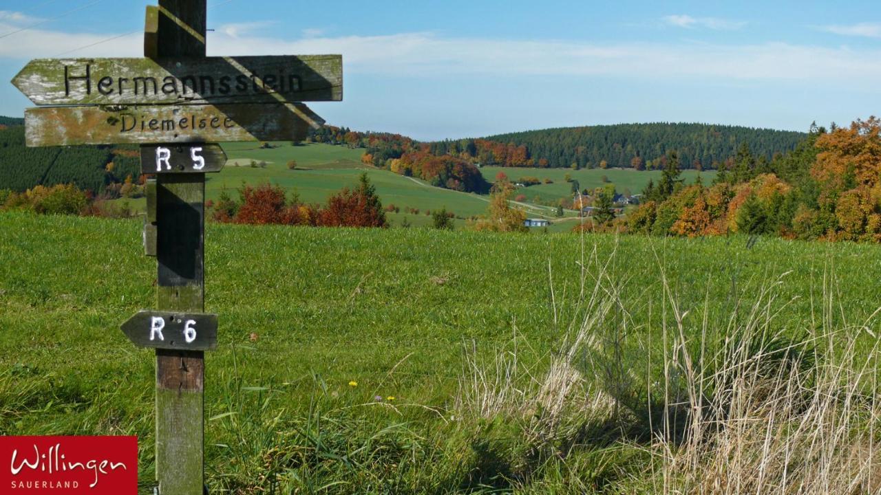 Goebels Landhotel Willingen  Bagian luar foto